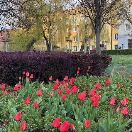 Apartament Mona Wrzeszcz Gdańsk Zewnętrze zdjęcie